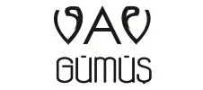 VAV Gümüş logosu